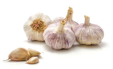 Four garlic bulbs and separated cloves isolated on white background