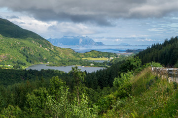 Fototapeta na wymiar Forest in the foreground, blue mountains in the distance, Lofoten, Norway