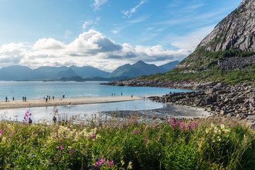 Fototapeta premium Sandy beach on the coast of the Norwegian Sea, Lofoten , Norway