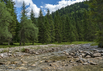 Obraz premium Gebirgsbach