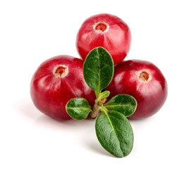 Cranberry with leaf isolated on white background closeup macro