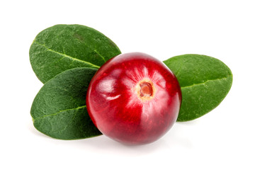 Cranberry with leaf isolated on white background closeup macro