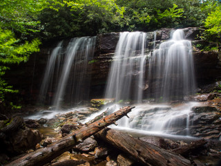 Obraz premium Forest Waterfall - Glen Onoko