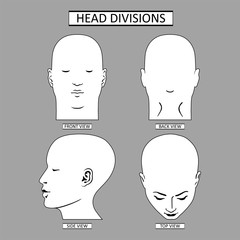 Man head divisions scheme