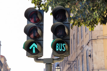 traffic light with green arrow light up  and bus