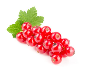 Red currant berries with leaf isolated on white background