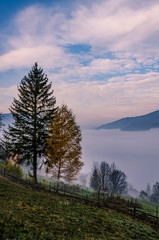 Foggy morning in the Ukrainian Carpathian Mountains in the autumn season