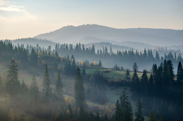 Nebeliger Morgen in den ukrainischen Karpaten in der Herbstsaison
