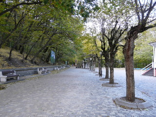 The resort park in the Caucasus