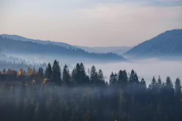 Acrylic prints Forest in fog Foggy morning in the Ukrainian Carpathian Mountains in the autumn season