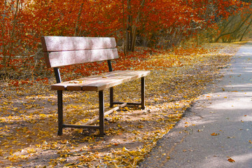 Wooden bench in the park on a background of orange autumn trees and sunset