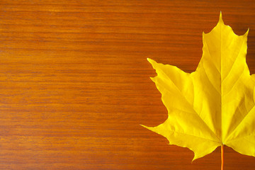 Naklejka na ściany i meble Yellow autumn leaf on a wooden table (background, copy space, concept)