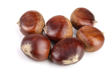 sweet chestnut isolated on white background
