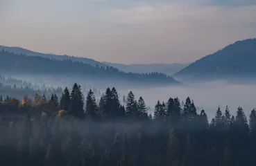 Selbstklebende Fototapete Wald im Nebel Nebliger Morgen in den ukrainischen Karpaten in der Herbstsaison