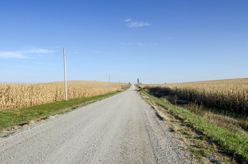 Fototapeta na wymiar Dirt Road Between Massive Corn Fields Under Blue Sky