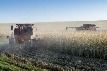 Fototapeta premium Farm Harvesting Equipment Working in a Corn Field