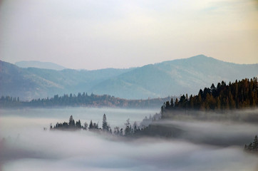 Foggy morning in the Ukrainian Carpathian Mountains in the autumn season