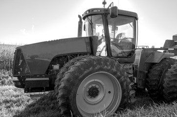 Tractor in a Corn Field Grayscale Photo