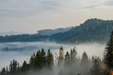 Foggy morning in the Ukrainian Carpathian Mountains in the autumn season