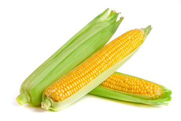 ear of corn isolated on a white background