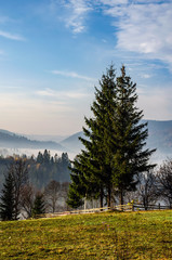 Foggy morning in the Ukrainian Carpathian Mountains in the autumn season