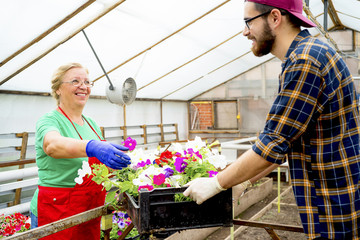 People working in a greenhouse