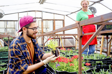 People working in a greenhouse