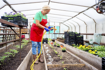 Woman working in a greenhouse