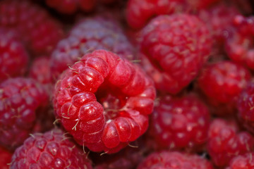 Closeup of raspberries for background/texture