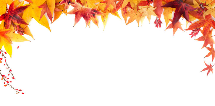 Autumn Frame of Red, Orange and Yellow Maple Leaves