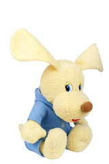 Plush dog on a white background. Isolated photo