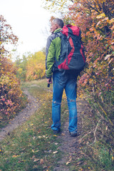 Traveler with a backpack walks along a forest road