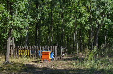 View toward apiary with bee hive and watering trough in the field at forest, Zavet town, Bulgaria  