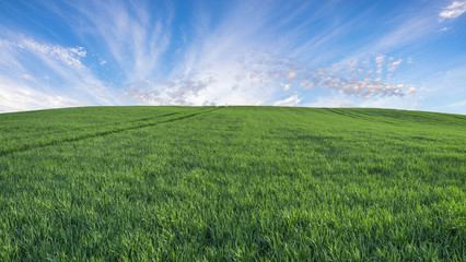 green field, panorama