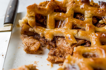 Homemade Organic Apple Pie Dessert