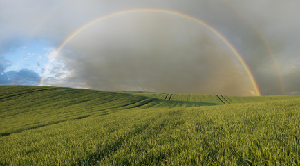 green field, panorama