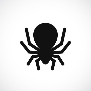 Big scary spider vector icon