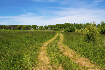 Fototapeta na wymiar Wheel track in green field