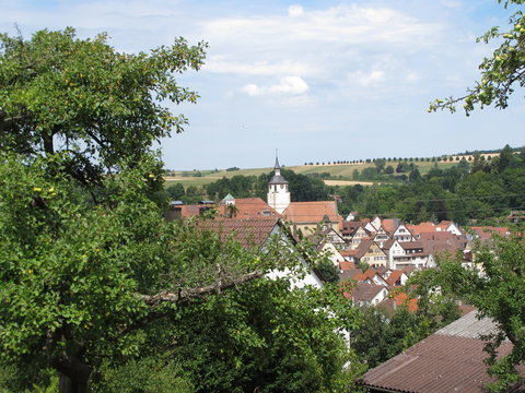 Blick vom Berg auf die Altstadt von Waldenbuch