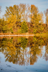 Dans le Grand Parc de Miribel Jonage à l'automne