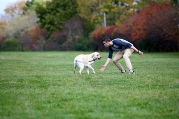 Teenage boy playing fetch with a stick and his labrador dog