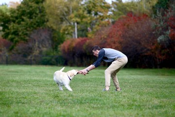 Teenage boy playing tug of war with his labrador dog outdoors