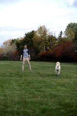 Fototapeta premium Teenage boy playing fetch with his labrador dog
