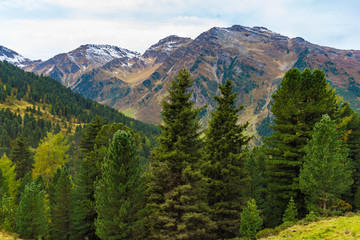 Blick auf Hirzer und Grafennspitze