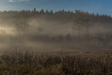 Dichte Nebelschleier ziehen über das Moor bei Icking