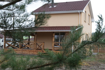 Cottage through the green needles of pine.