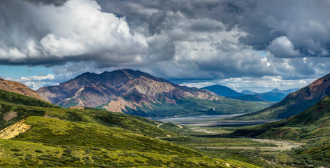 View towards sky with clouds and nature in Denali National Park © Mathias