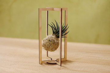 installation of pineapple on a table of green flowers - Powered by Adobe