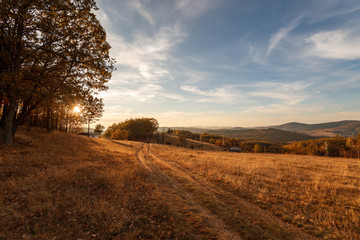 Road through forest in autumn.