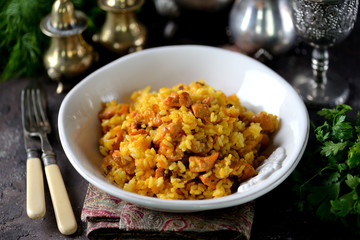 Rice stewed with meat, onions, carrots and barberry. Middle Eastern cuisine.